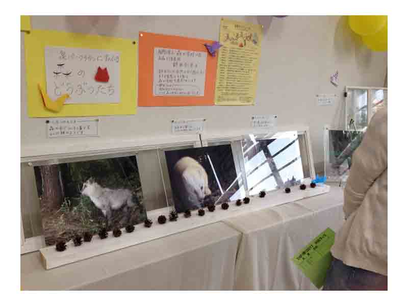 仙台市立高森小学校 ひばり祭2017