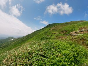 栗駒山です